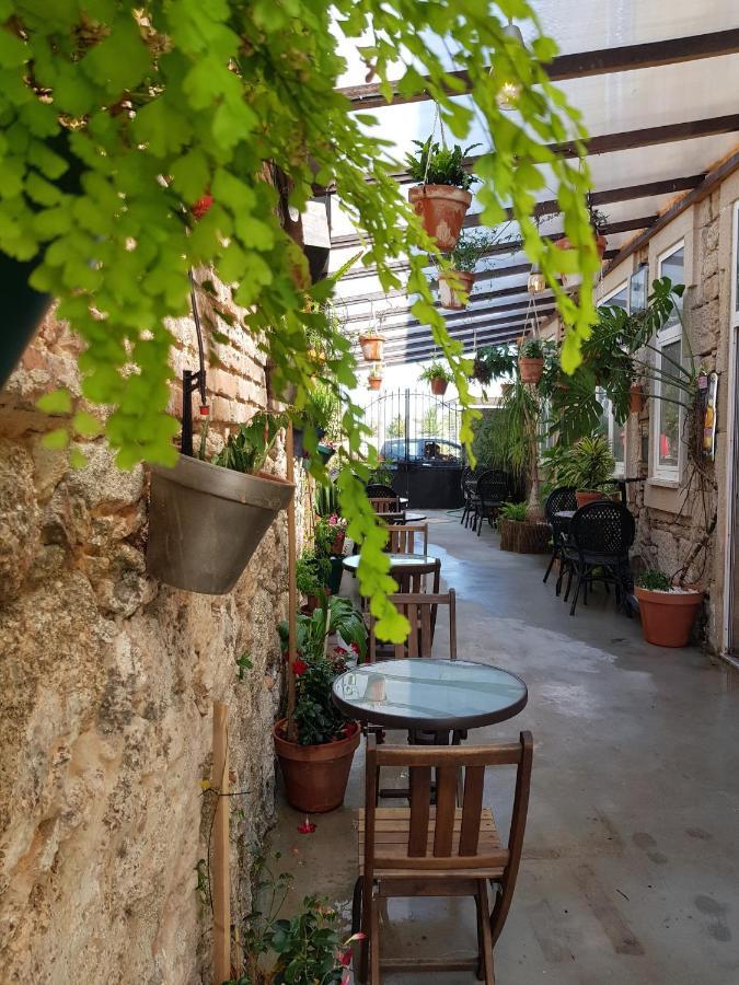 Garden Place Alojamento Local ヴィゼウ エクステリア 写真