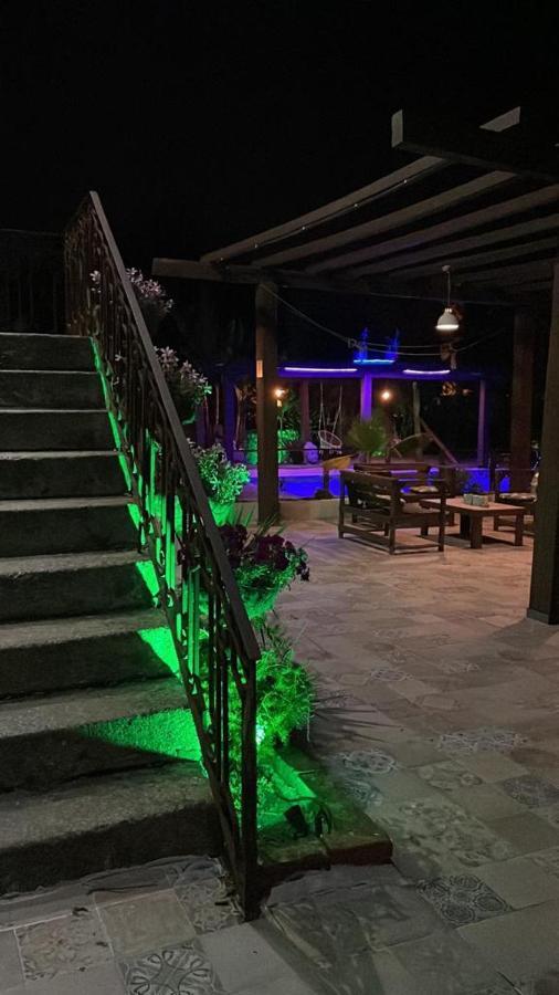 Garden Place Alojamento Local ヴィゼウ エクステリア 写真